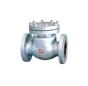 API Stainless Steel Check Valve