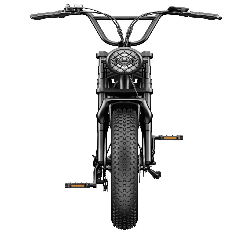 Gofunow C91 20 Inch Fat Tire Electric Bikes 9 Jpg