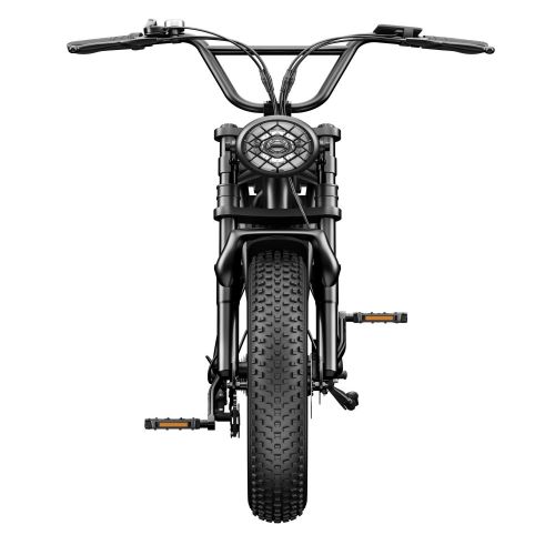 C91adulut Model 26 Inch Electric Mountain Bikes