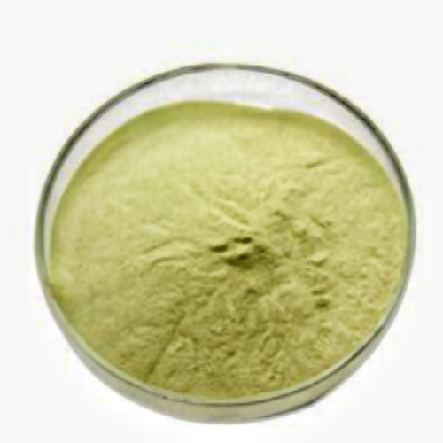 High Quality Cucurbita Pepo Extract