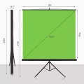 Portable foldable green screen