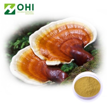 Reishi Mushroom extract polysaccharide 10%-40%