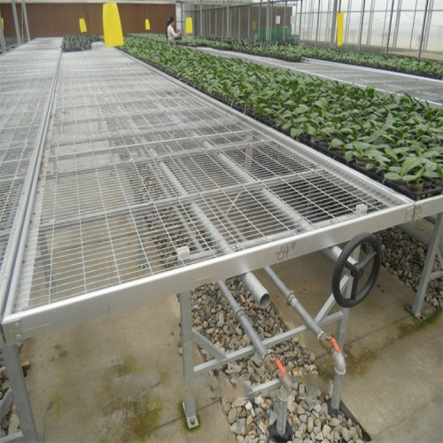 Aluminum frame with hot galvanized greenhouse rolling bench