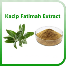 Plant Extract Powder Natural Kacip Fatimah Extract