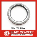 PTFE oil seal 3900709