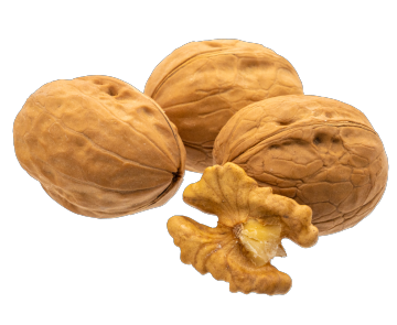 Crispy Roasted Walnut Kernels