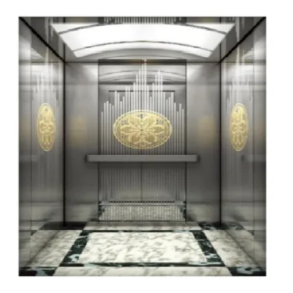 Hot Selling Hairline Stainless Steel Indoor Household Elevator for Villa