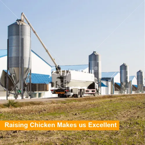 Different Types Of Poultry House For Broiler, High Quality Different