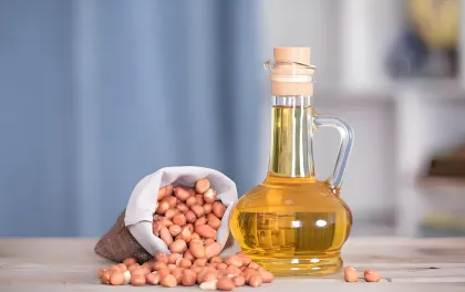 Peanut oil high efficiency filter