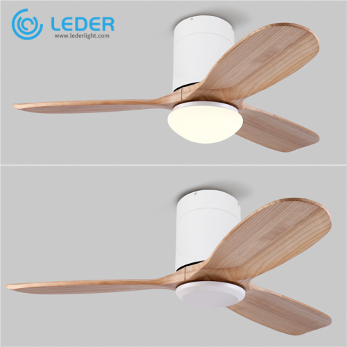 Ventiladores elétricos exclusivos de teto LEDER