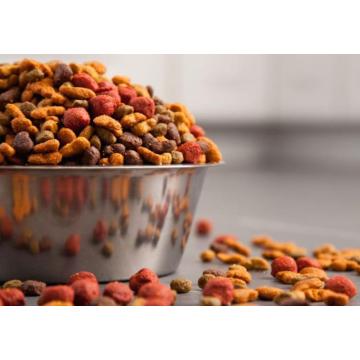 Máquina de pellets de comida para perros de alta calidad al mejor precio