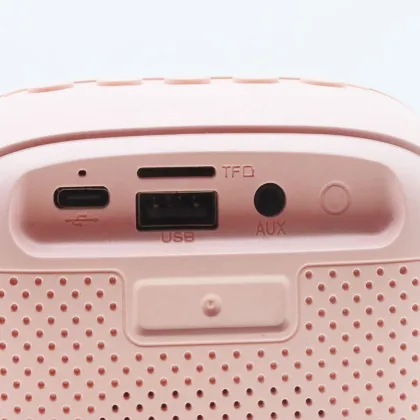 CE ROHS Custom Logo K30 Portable Karaoke Microphone Speaker Kit with 2 Microphones