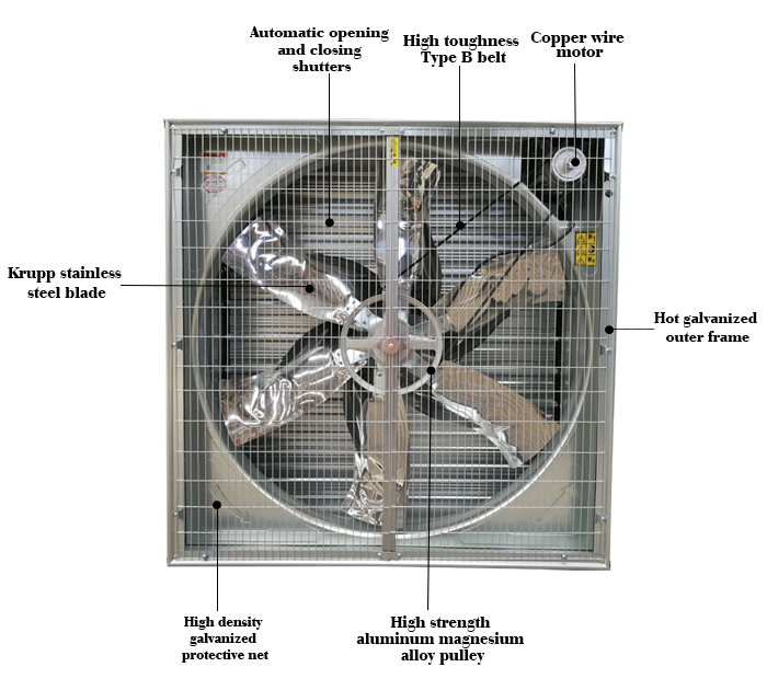 Exhaust Fan