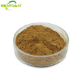 Premium Plant Extract with Chlorogenic Acid