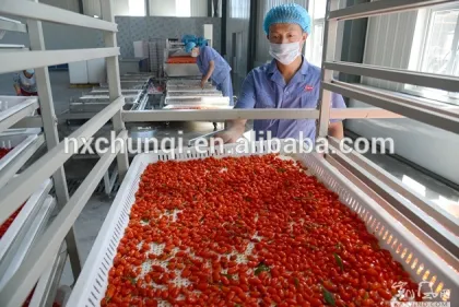 NEW CROP HOT SALE BULK GOJI BERRIES