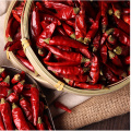 Rot getrockneter Chili Großhandel 100% Bio angepasst