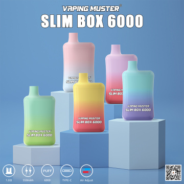 Slim Box Vape 6000 พัฟ