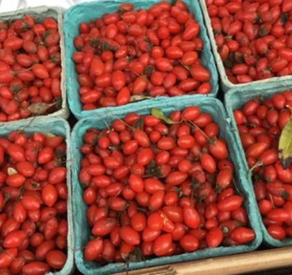 Natural bulk dried organic wolfberry