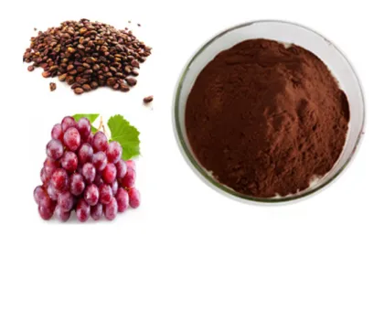 Fruit Extract Organic OPC Grape Seed Extract Powder
