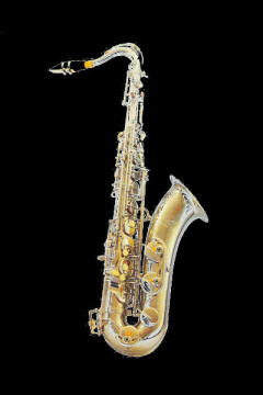 Tenor Saxophone (TS 100N)