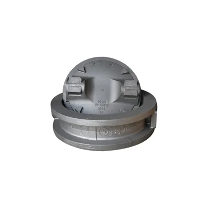 Custom and OEM SG Iron Valves