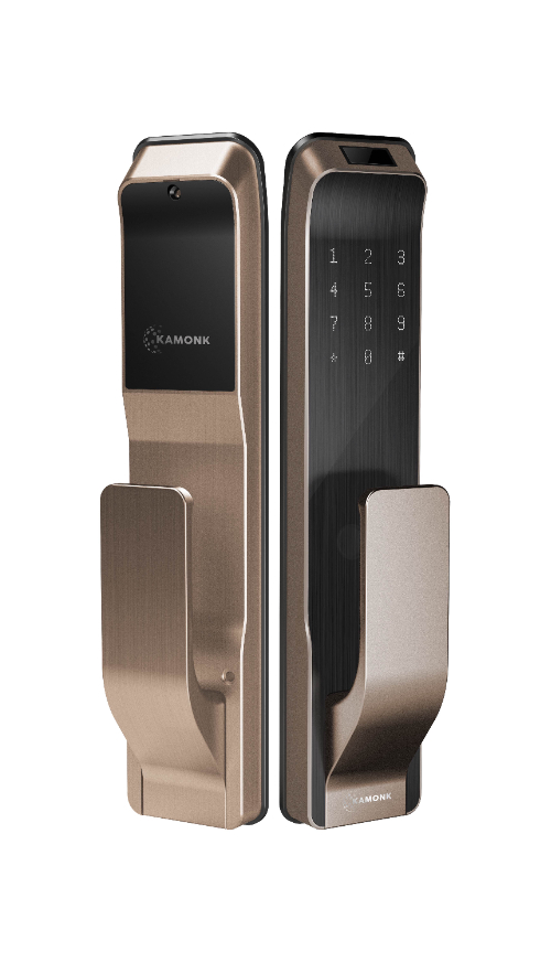 Biometric Fingerprint Door Lock For Home