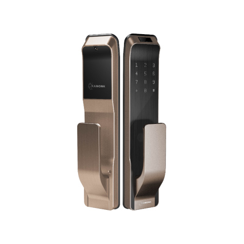 WiFi Smart Lock -Haustür für Heimwohnungen