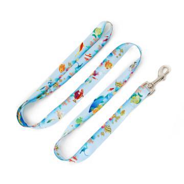 SGS Approval Eco-friendly Polyester Dog Leash