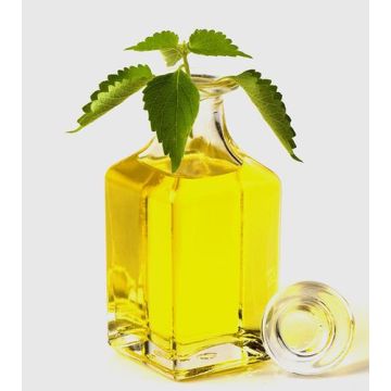 100% pure natual organic spikenard essential oil