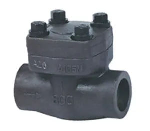 Forged steel check valve