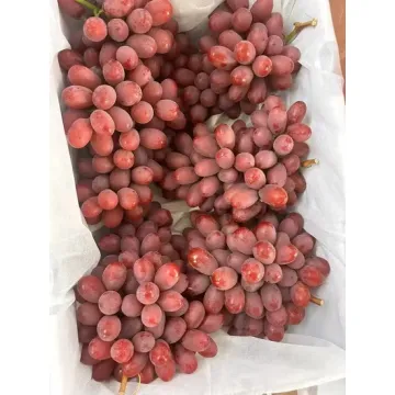 Natural na Sariwang Pulang Ubas na Kalidad