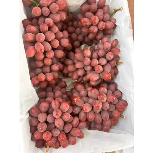 Masarap na Sariwang Pulang Grape Cluster