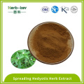 Brown yellow powder Spreading Hedyotis Herb extract