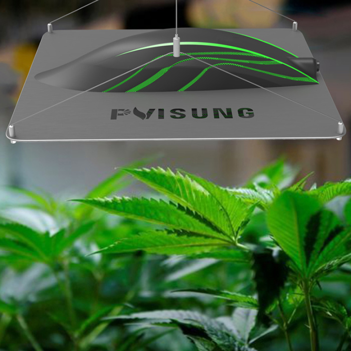 Hemp Led Grow Light 320W