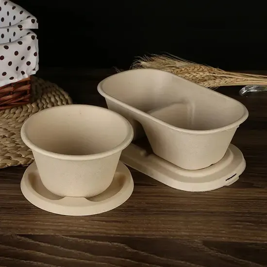 Compostable 9 Inch Pulp Paper Plates for Zero-Waste Events