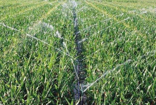 Irrigation scientifique Irrigation scientifique