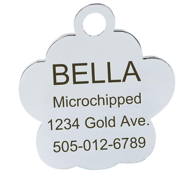 Cute Dog Name Tags Personalized