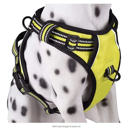 Kaatapet Brand Petsafe Easy Walk Harness