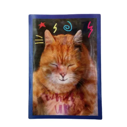 Custom heat transferred logo printing sublimation patch