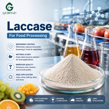 Laccase Enzyme Preparation for Industrial Oxidation and Bioprocessing Applications