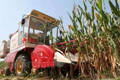 Corn Harvester Farming Machinery