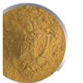 Best function cnidium monnieri extract powder fructus cnidii