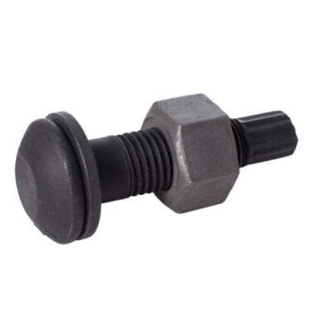 High Strength Steel Black Torsion Type Bolts with Nut and Washer: GB3632 Standard Assembly