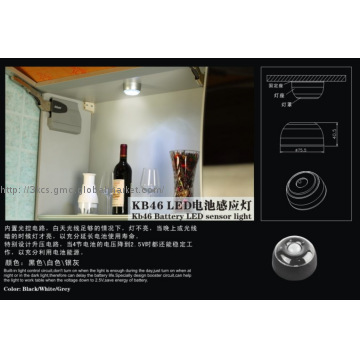 LED Motion Sensor Light