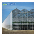 Greenhouse with hydroponics system vegetbales