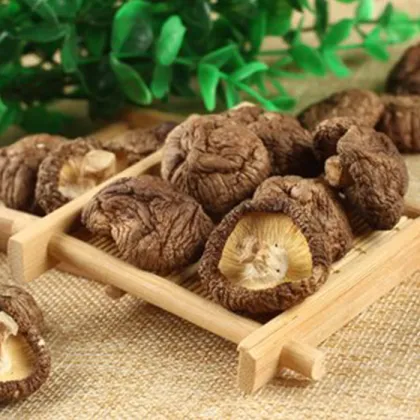 Best Dried Shiitake Mushrooms