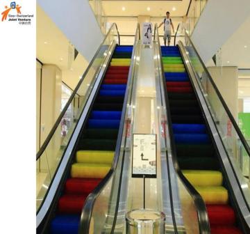 Hot Sale Indoor and Outdoor Escalator