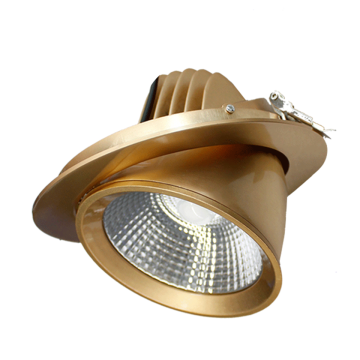 Rotatable Adjustable LED Downlight