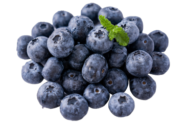 Premium Blueberries for Luxury Retail and Hospitality