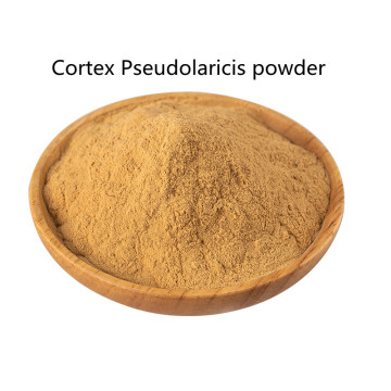 Buy online organic Cortex Pseudolaricis Extract powder